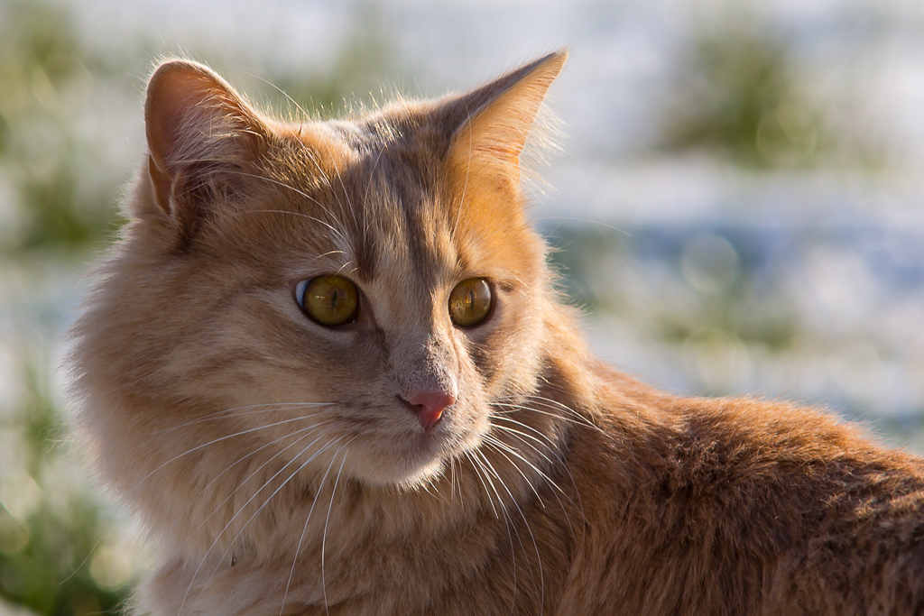 ICH WILL ENTPACKT WERDEN!